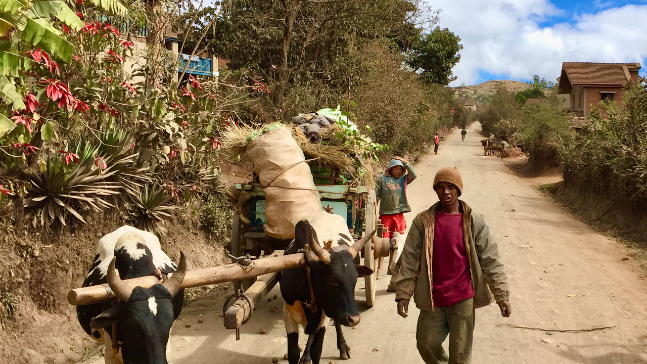 Madagascar RN7 en westroute langs kust » Matoke