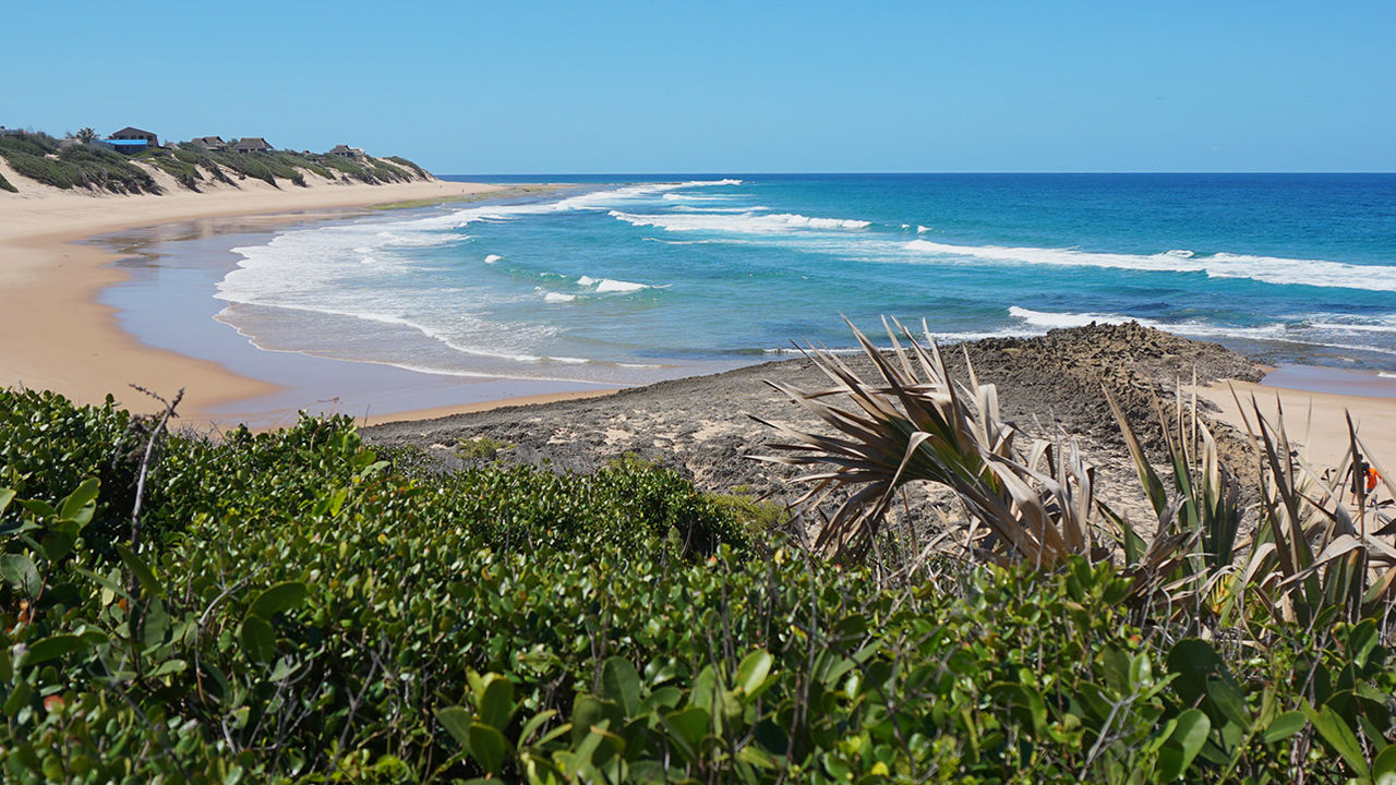 Duiken, snorkelen op Tofo en Inhambane | mooiste stranden Mozambique