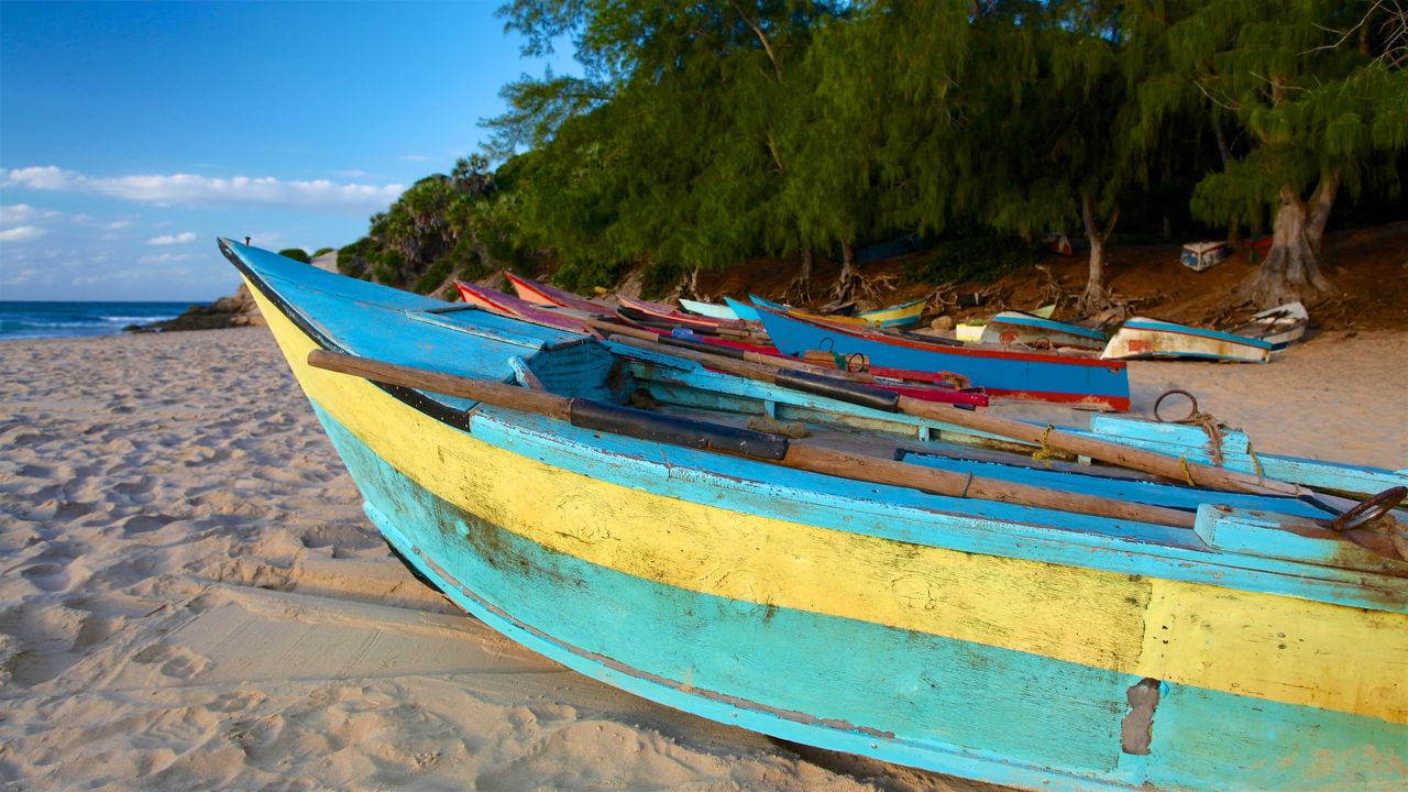 Duiken, snorkelen op Tofo en Inhambane | mooiste stranden Mozambique