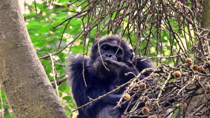 Reisspecialist Joanna op studiereis door Rwanda | Matoke Tours