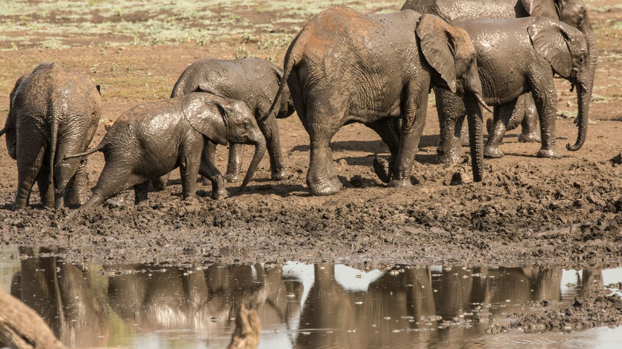Rondreis Zuid-Afrika met strandvakantie op Zanzibar