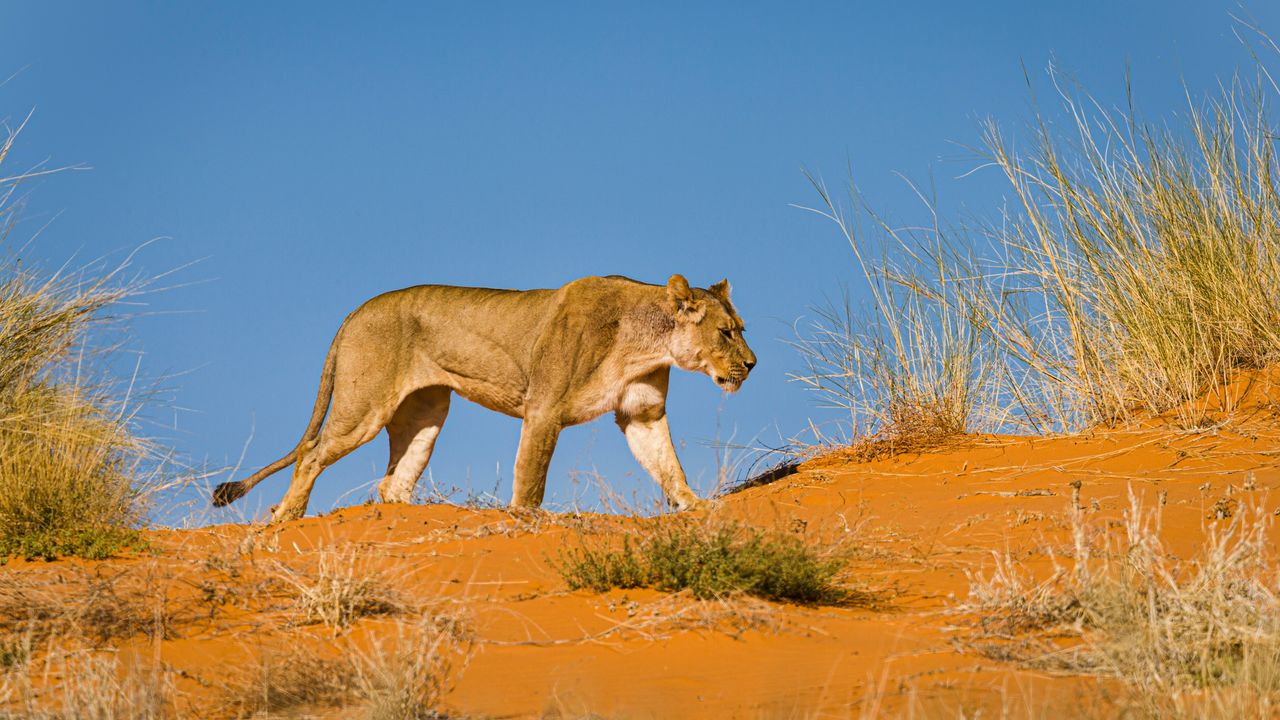 Reisinformatie Zuid Afrika | Matoke Tours