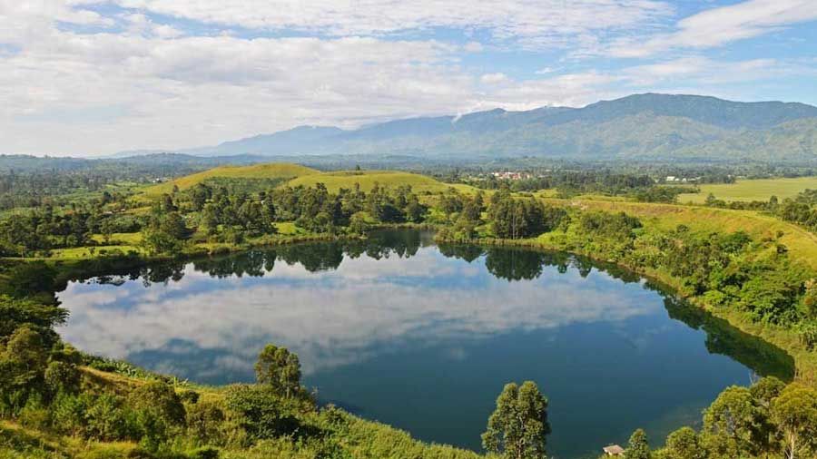 Kibale Forest | Chimpanzee trekking in Uganda | Matoke Tours