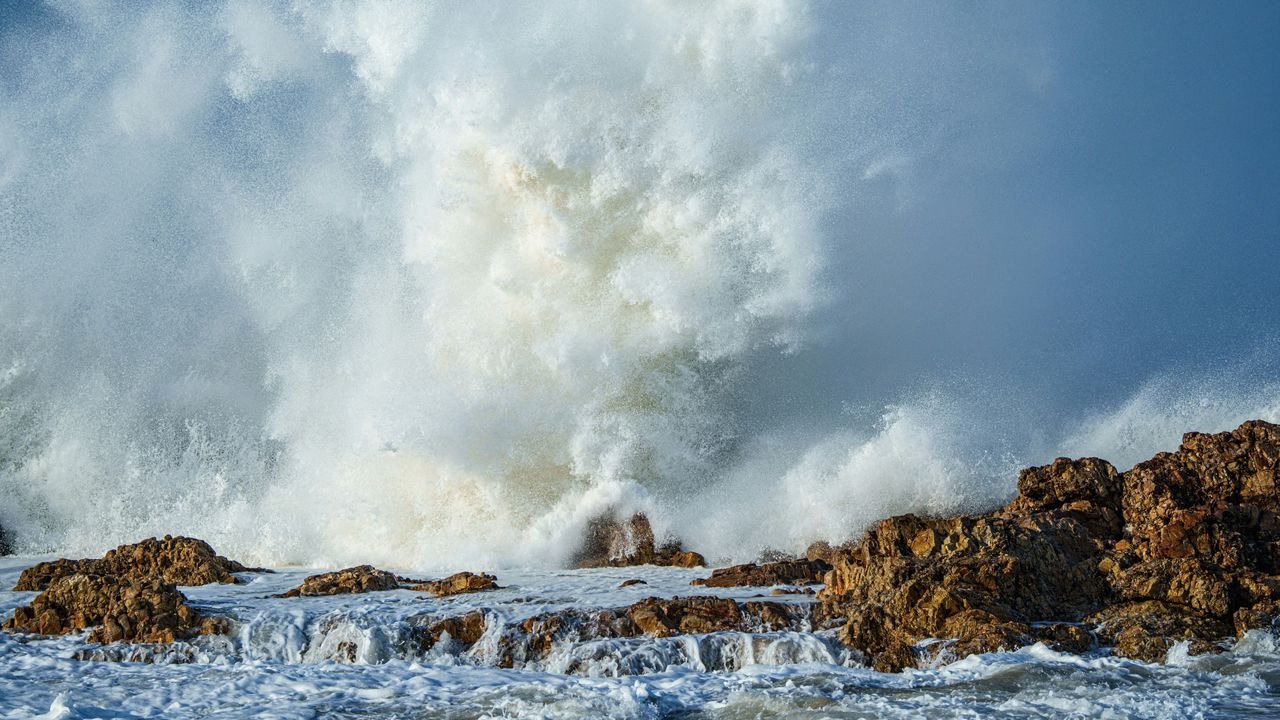 Port Elizabeth - zonnige kuststad aan de Oostkaap | Matoke Tours