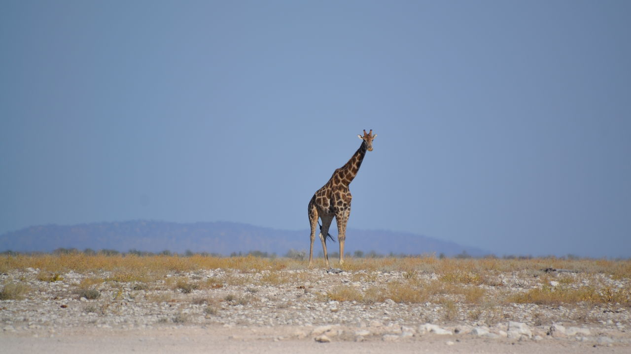 Matoke Tours reisspecialisten op studiereis in Namibië