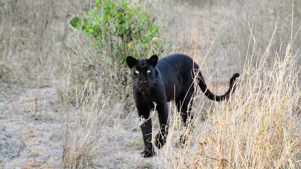 Reisspecialist Natasja op reis in Centraal Kenia | Matoke Tours