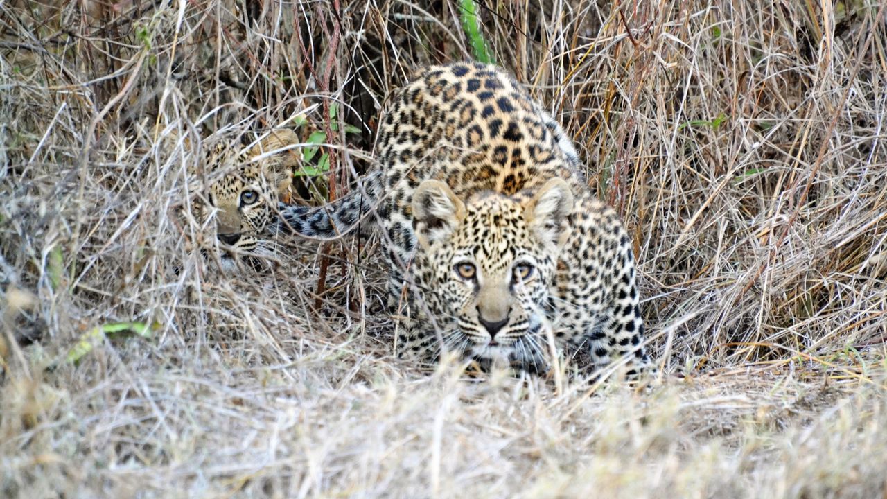 Reisspecialist Natasja op reis in Centraal Kenia | Matoke Tours
