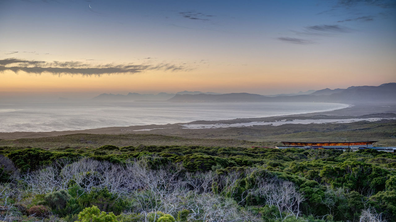 Hermanus - Walvissen - Zuid-Afrika - Matoke Tours