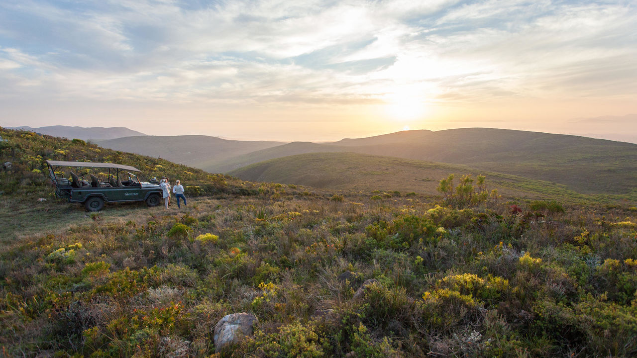 Hermanus - Walvissen - Zuid-Afrika - Matoke Tours