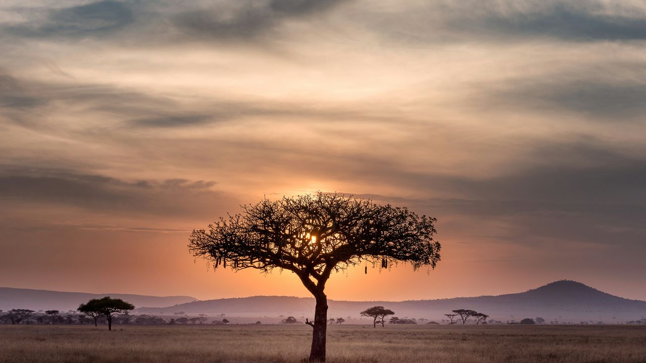 Serengeti safari