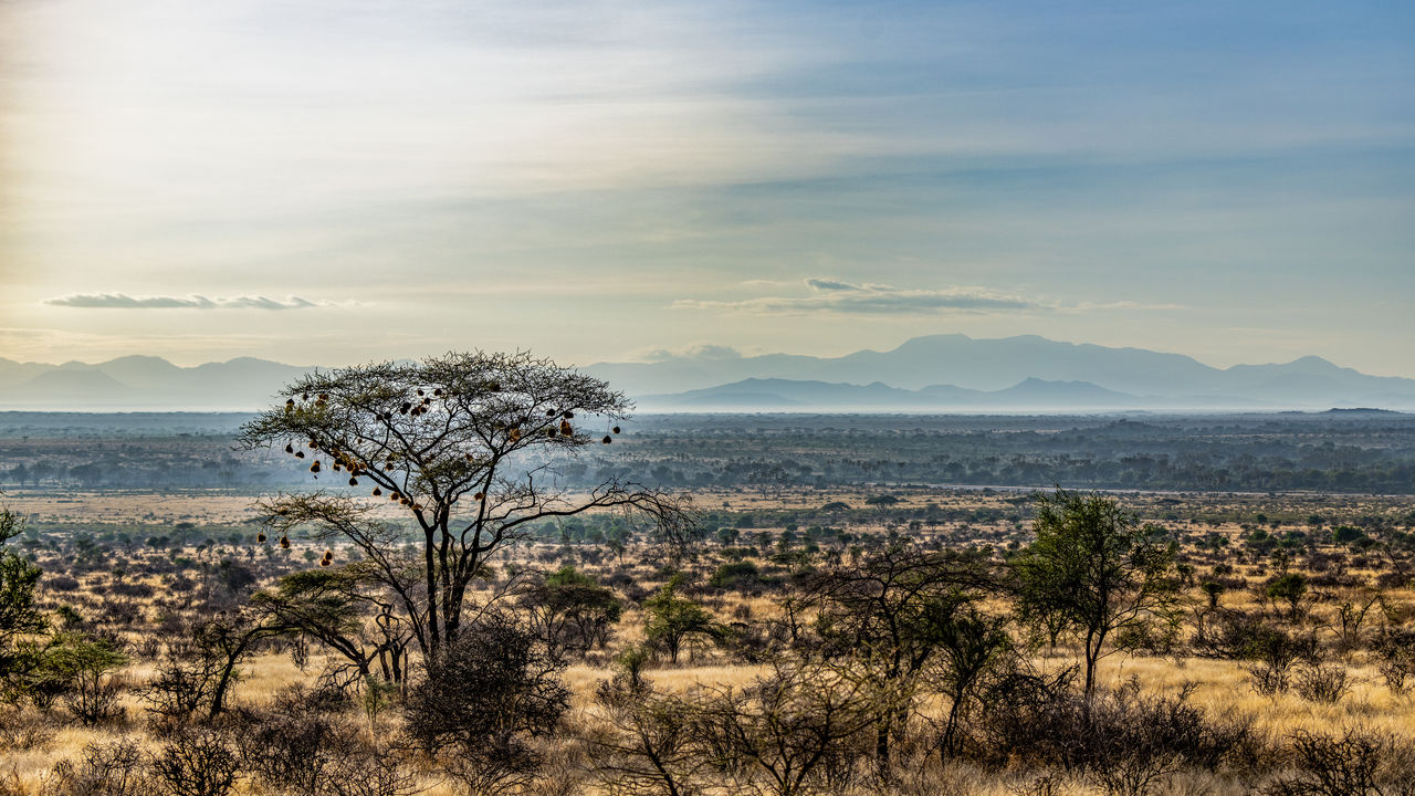 Luxe reis Kenia | Matoke Tours | 12-daagse exclusieve safari