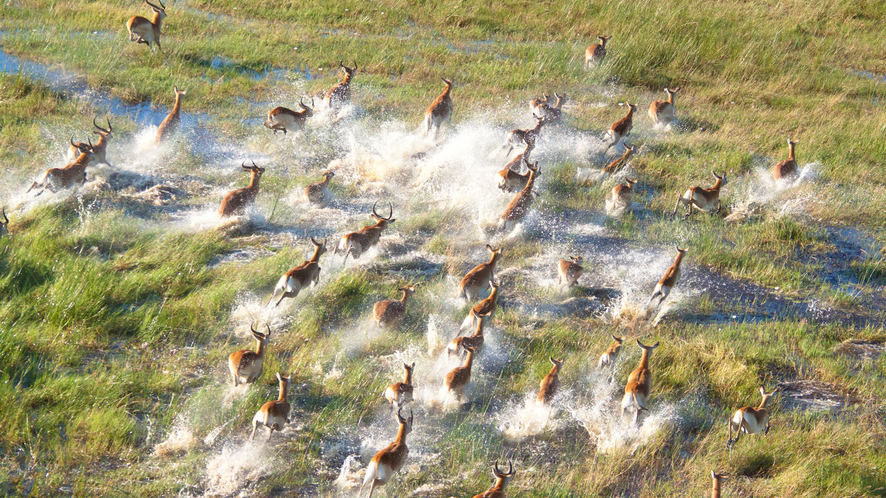 Safari met kinderen - Matoke Tours familiereizen in Afrika