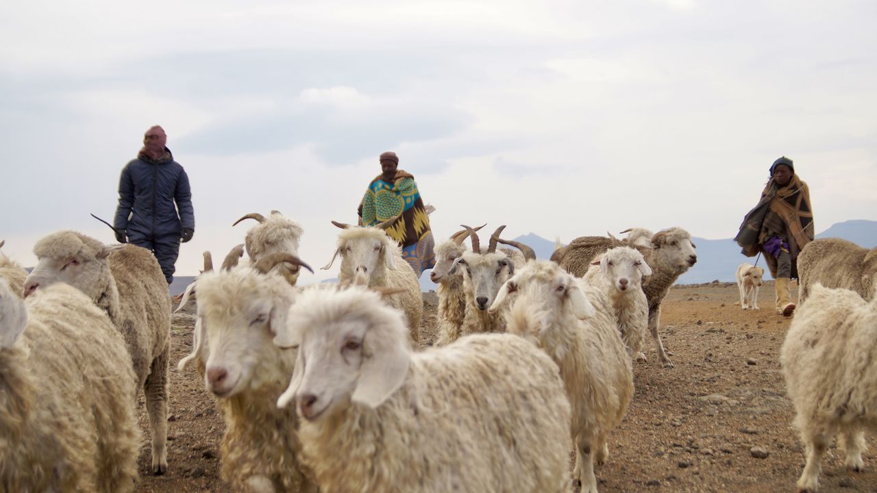 Lesotho - Zuid - Afrika - Matoke Tours