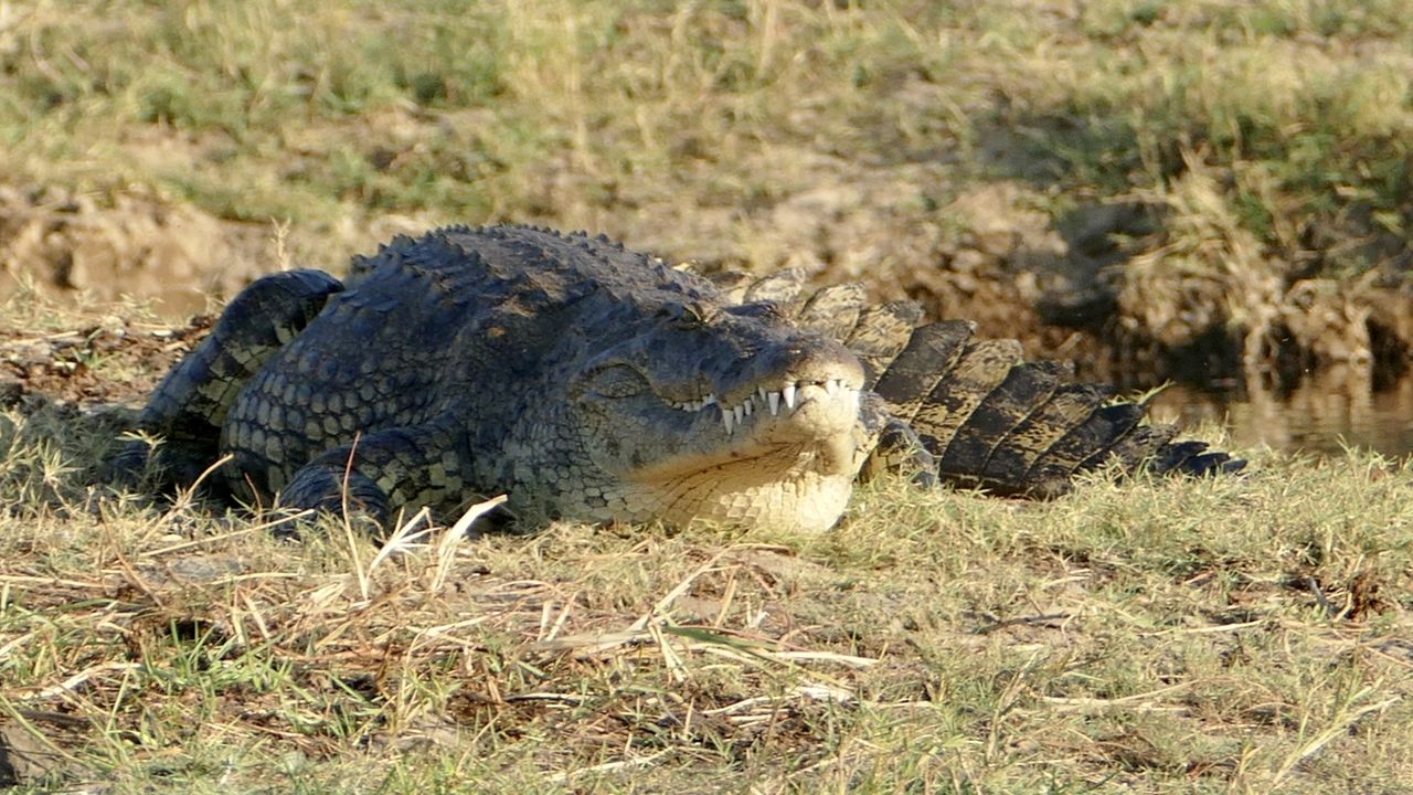 Self-drive reis Namibie Botswana en Victoria Falls | Matoke Tours