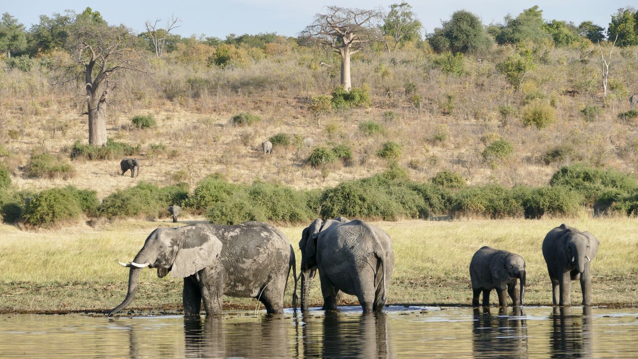 Ultieme roadtrip Namibië en Botswana » Matoke