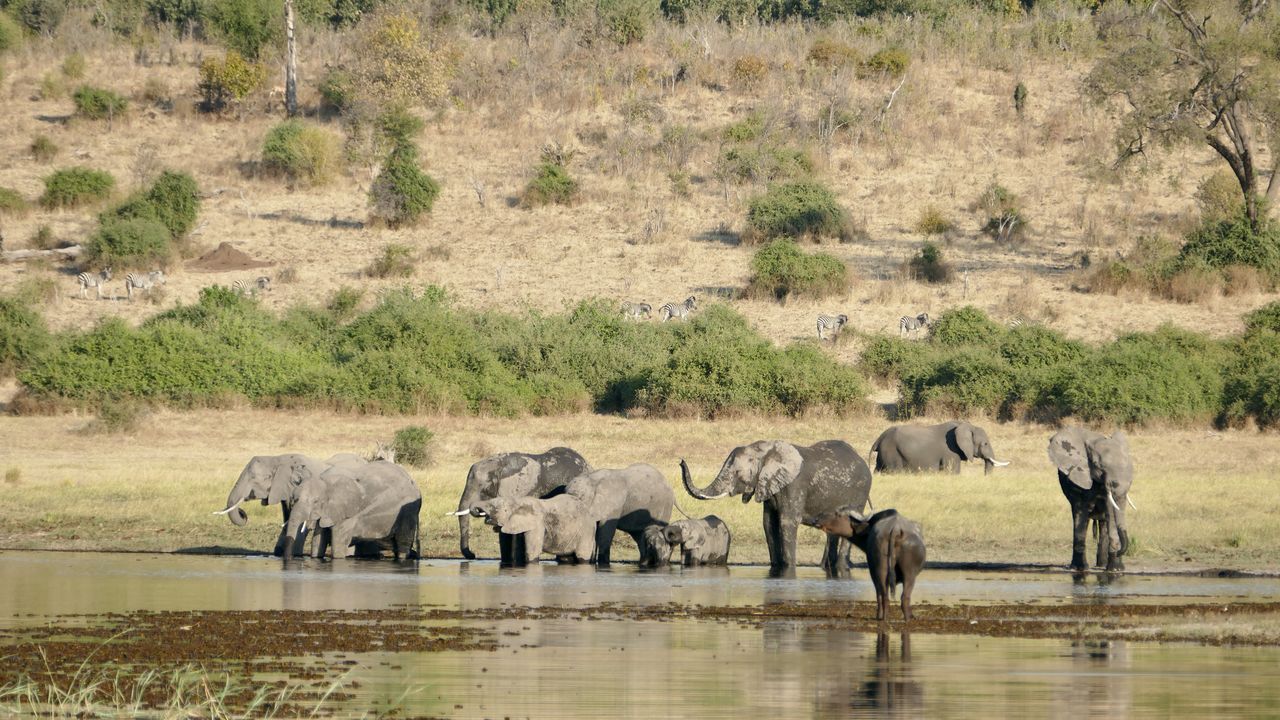 Verkenningstocht door de Zambezi Regio in Namibië en Zimbabwe