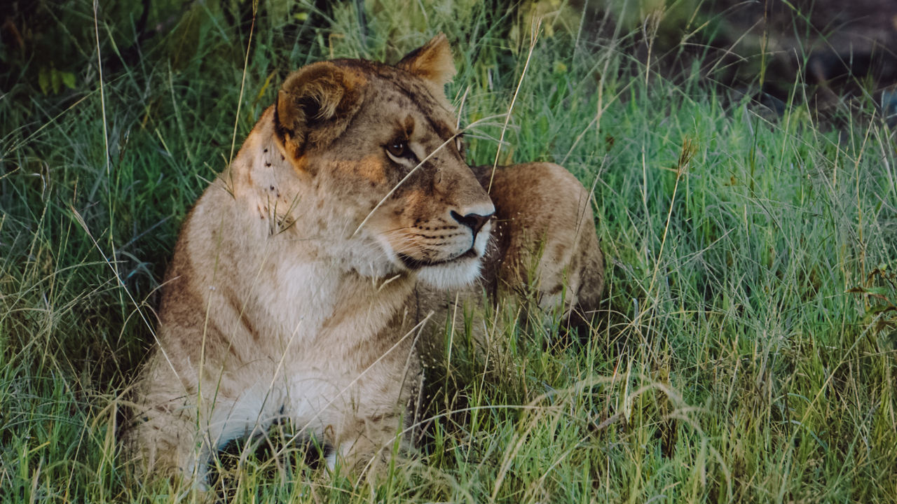 Reisspecialist Iris van Matoke Tours op studiereis in Kenia