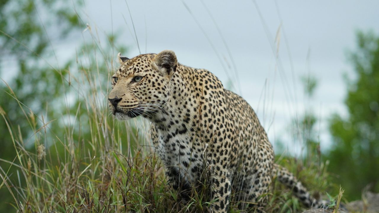 Hoe kies je de beste rondreis door Zuid-Afrika? | Matoke Tours