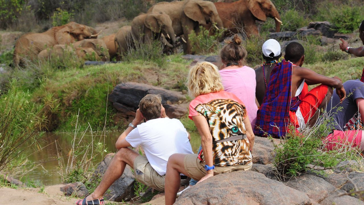 Verlenging Laikipia wandelsafari » Matoke