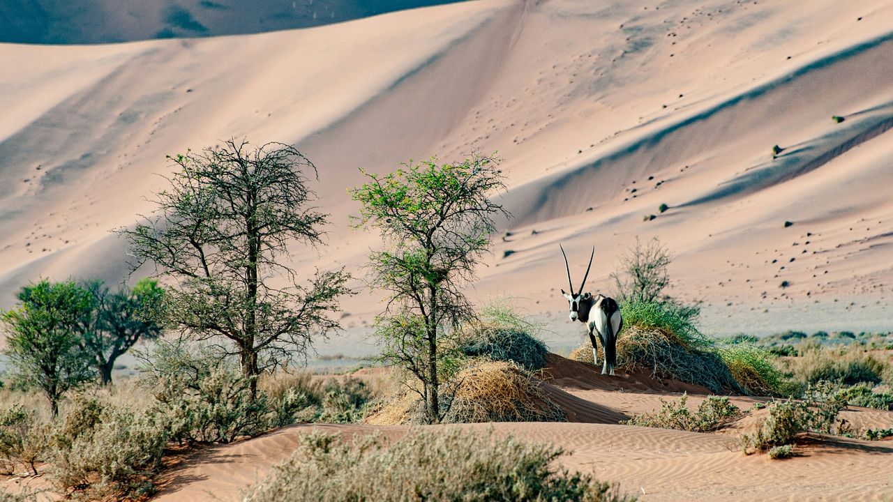 Sossusvlei Namibië - Matoke Tours
