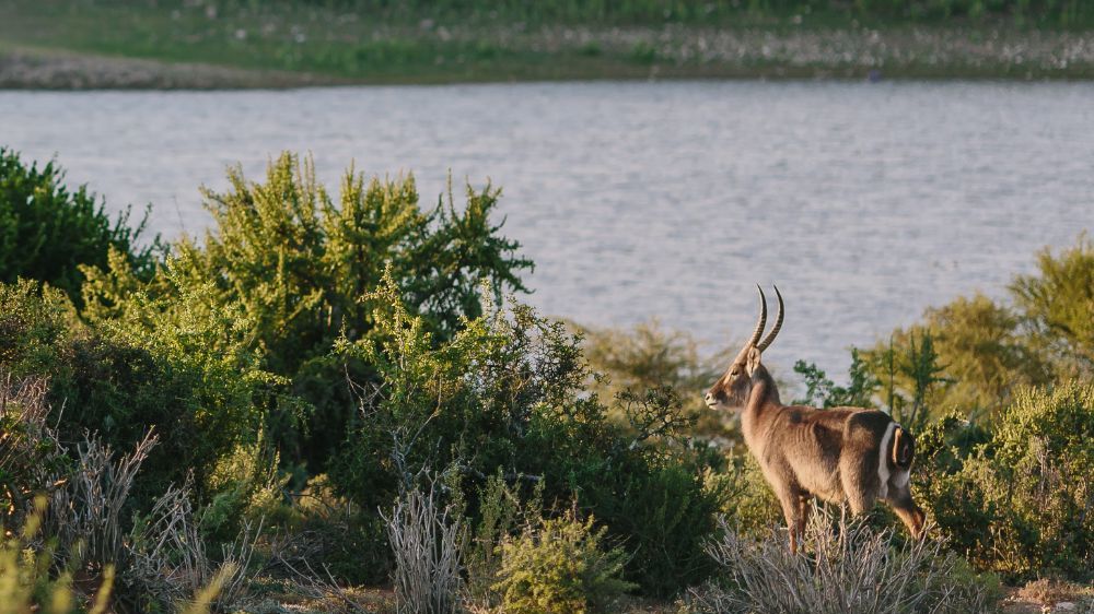 Klein Karoo - Oudtshoorn - Zuid-Afrika - Matoke Tours