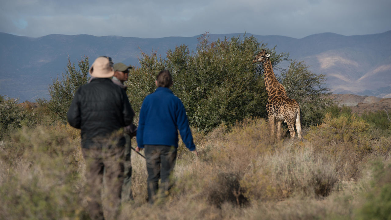 Klein Karoo - Oudtshoorn - Zuid-Afrika - Matoke Tours