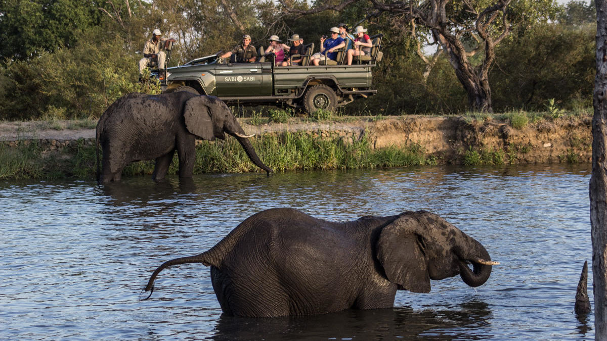 Sabi Sand - Natuurreservaat - Zuid-Afrika - Matoke Tours