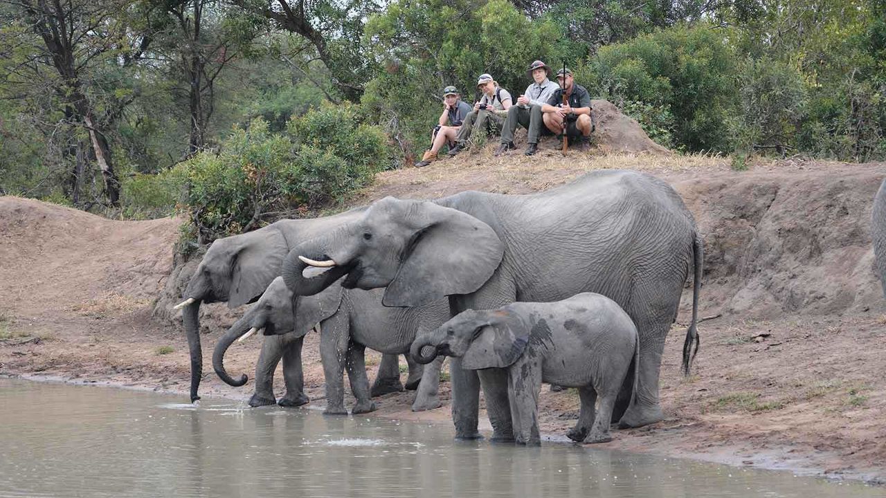 Sabi Sand - Natuurreservaat - Zuid-Afrika - Matoke Tours