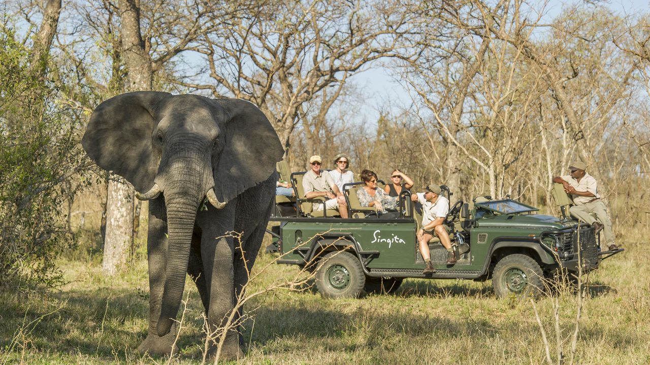 Kruger - Nationaal Park - Zuid-Afrika - Matoke Tours