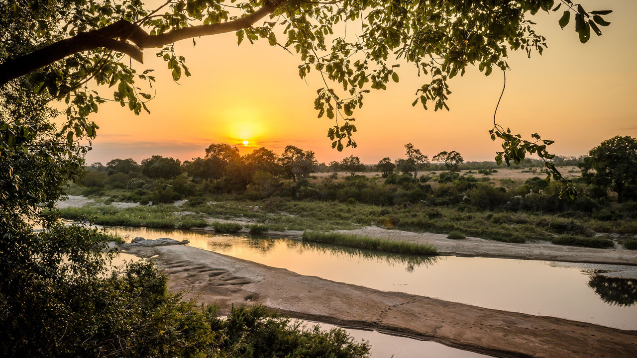 Reis door Zuid Afrika in 3 weken | Zuid Afrika compleet