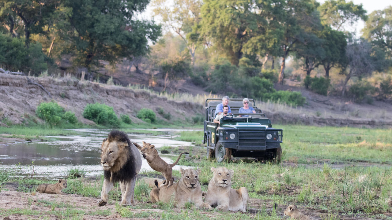 Sabi Sand - Natuurreservaat - Zuid-Afrika - Matoke Tours