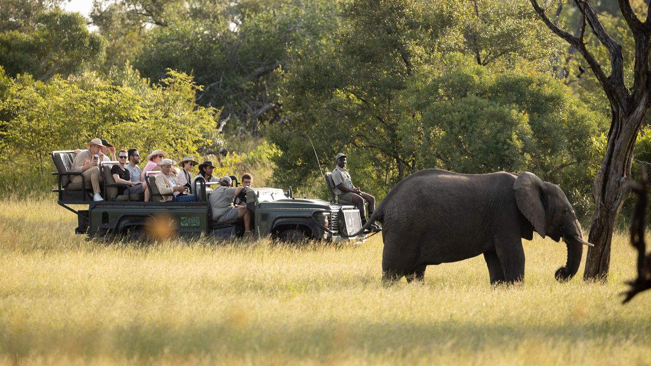 Kruger - Nationaal Park - Zuid-Afrika - Matoke Tours