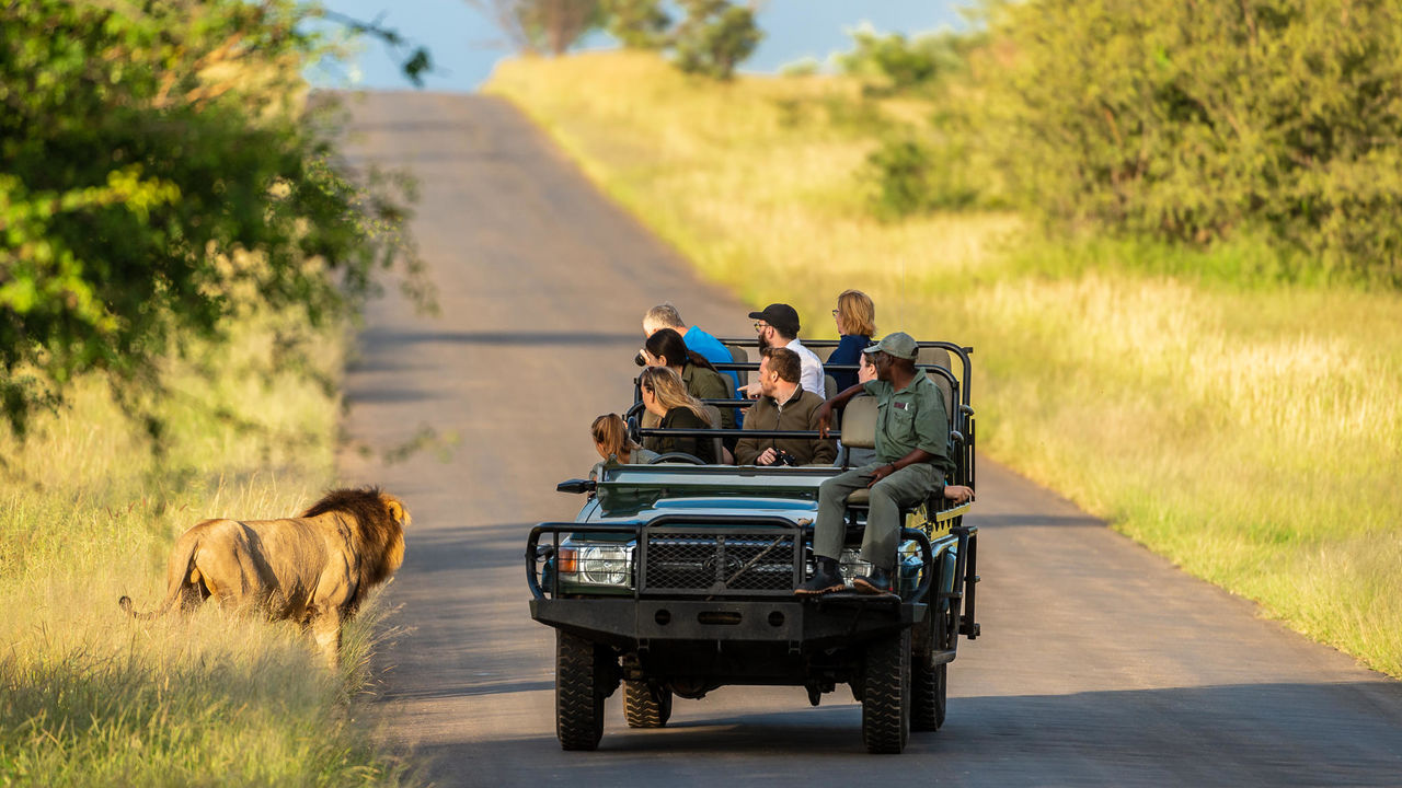 Sabi Sand - Natuurreservaat - Zuid-Afrika - Matoke Tours