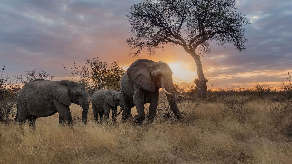 Hoe kies je de beste rondreis door Zuid-Afrika? | Matoke Tours
