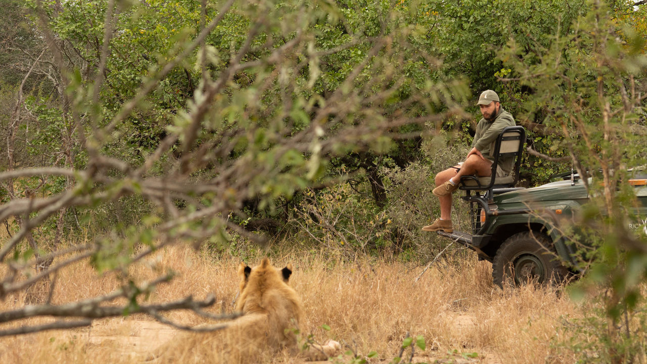 Sabi Sand - Natuurreservaat - Zuid-Afrika - Matoke Tours