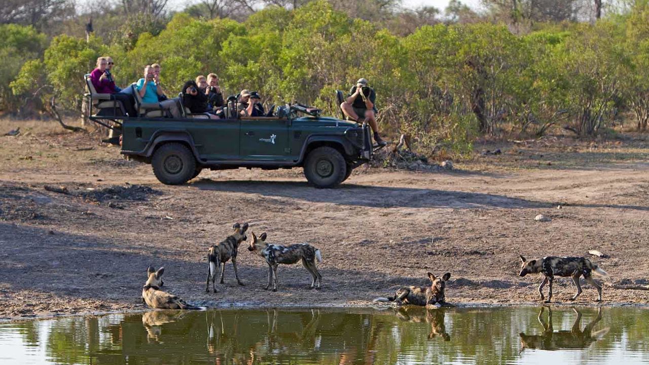 Kruger - Nationaal Park - Zuid-Afrika - Matoke Tours