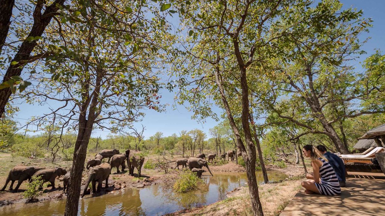 Kruger - Nationaal Park - Zuid-Afrika - Matoke Tours