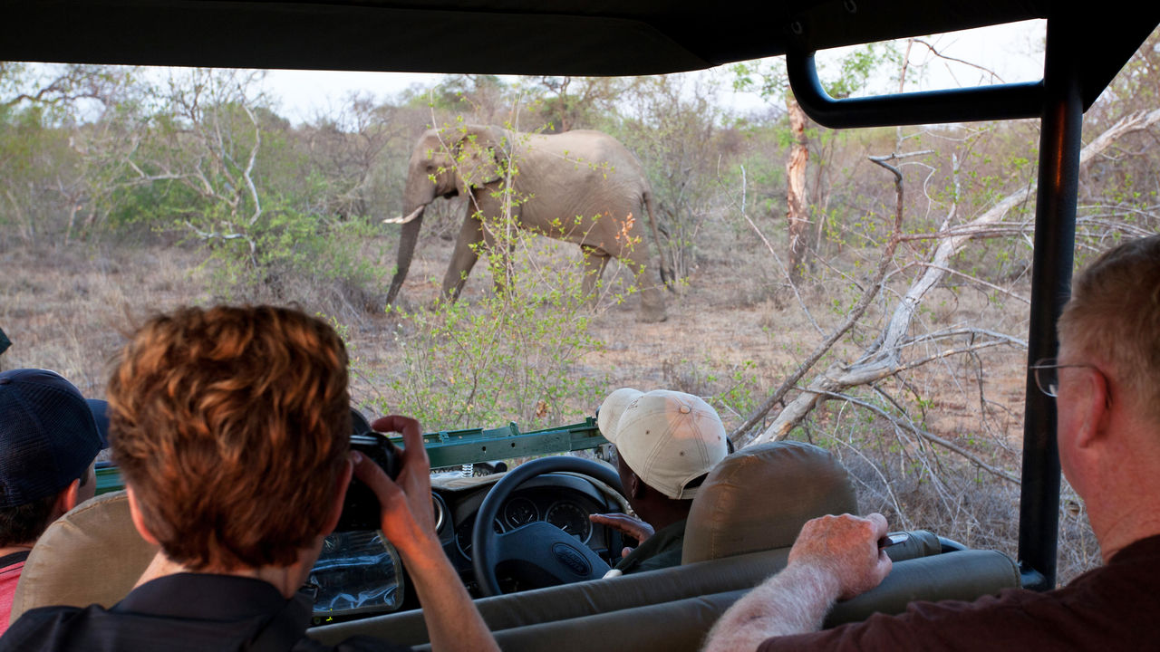 Hoe kies je de beste rondreis door Zuid-Afrika? | Matoke Tours