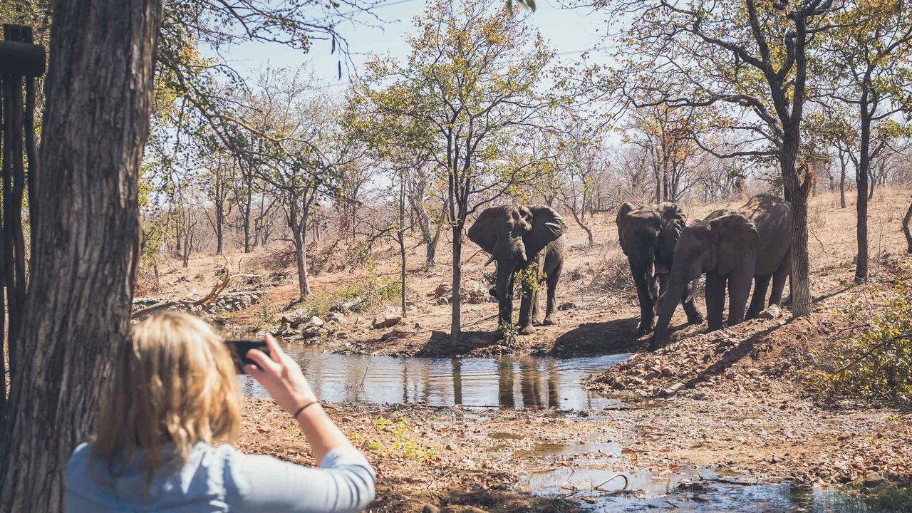 Kruger - Nationaal Park - Zuid-Afrika - Matoke Tours