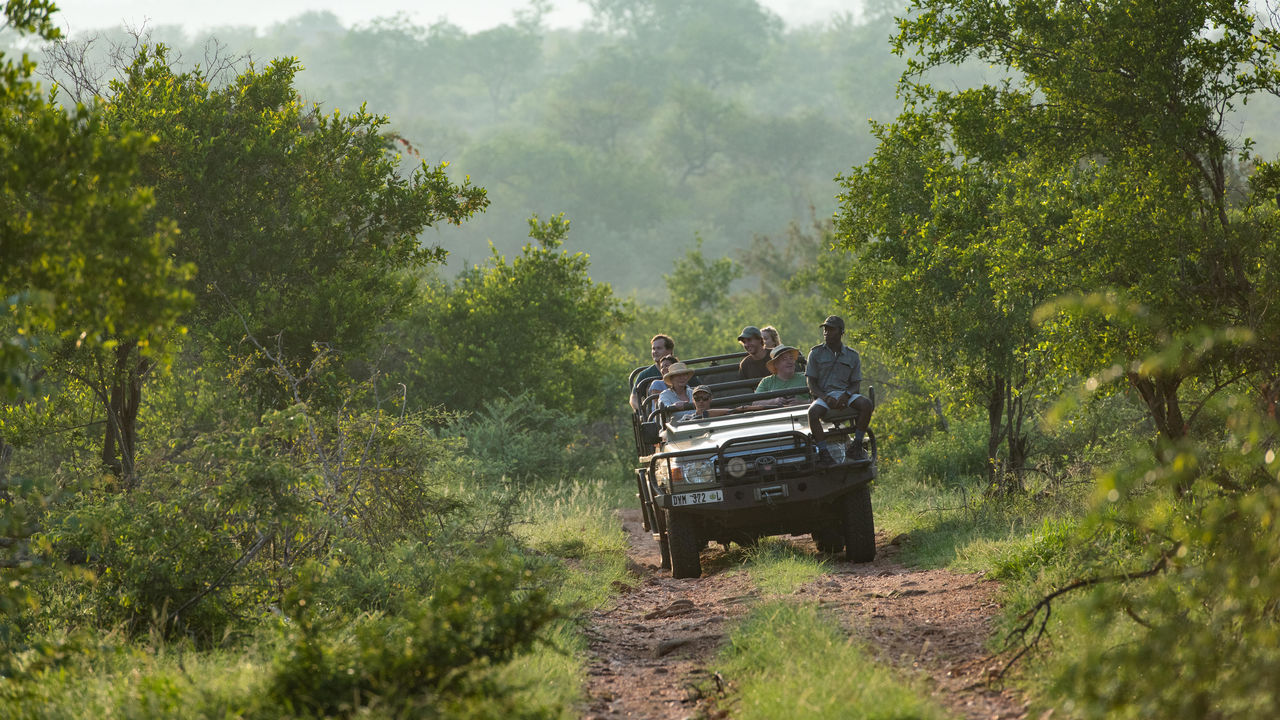 Kruger - Nationaal Park - Zuid-Afrika - Matoke Tours