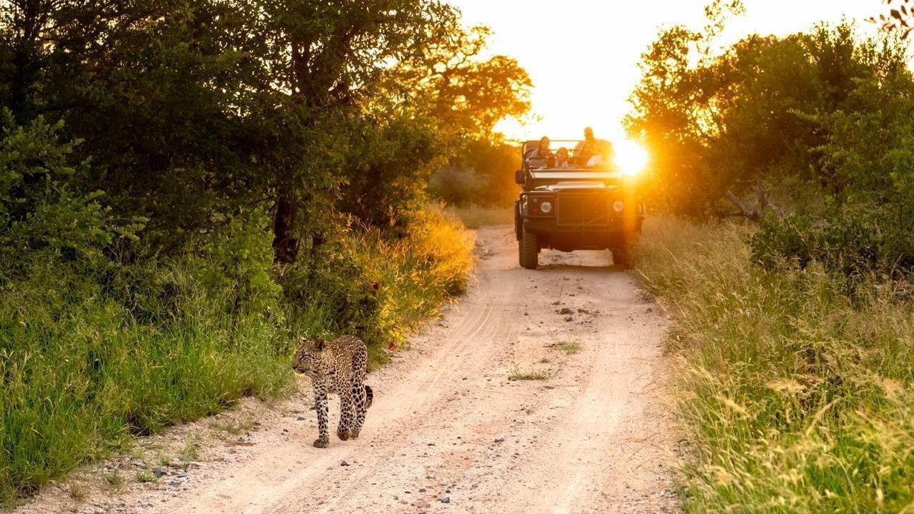 Sabi Sand - Natuurreservaat - Zuid-Afrika - Matoke Tours