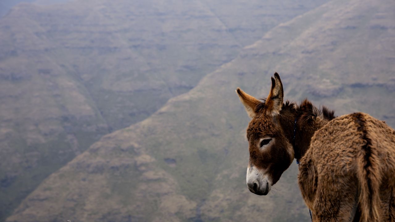 Lesotho - Zuid - Afrika - Matoke Tours