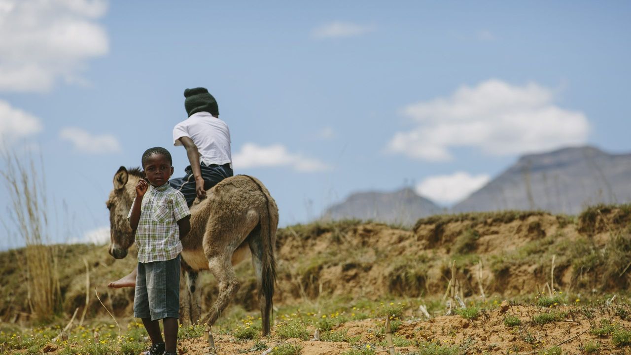 Drie weken Zuid-Afrika: 20-daagse reis Zuid Afrika, Lesotho en Eswatani