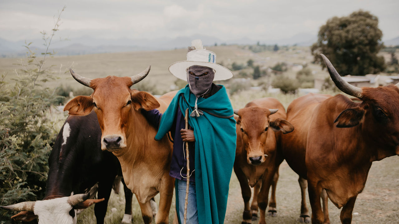 Lesotho - Zuid - Afrika - Matoke Tours