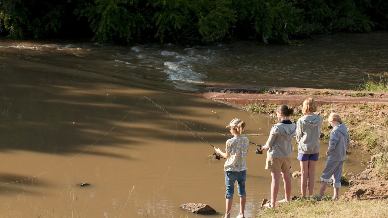 Madikwe - Natuur Reservaat - Zuid-Afrika - Matoke Tours