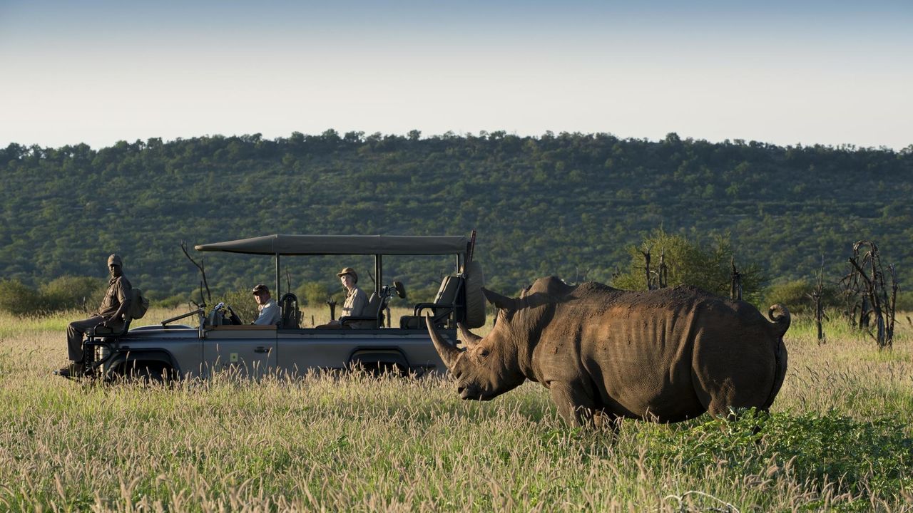 Madikwe - Natuur Reservaat - Zuid-Afrika - Matoke Tours