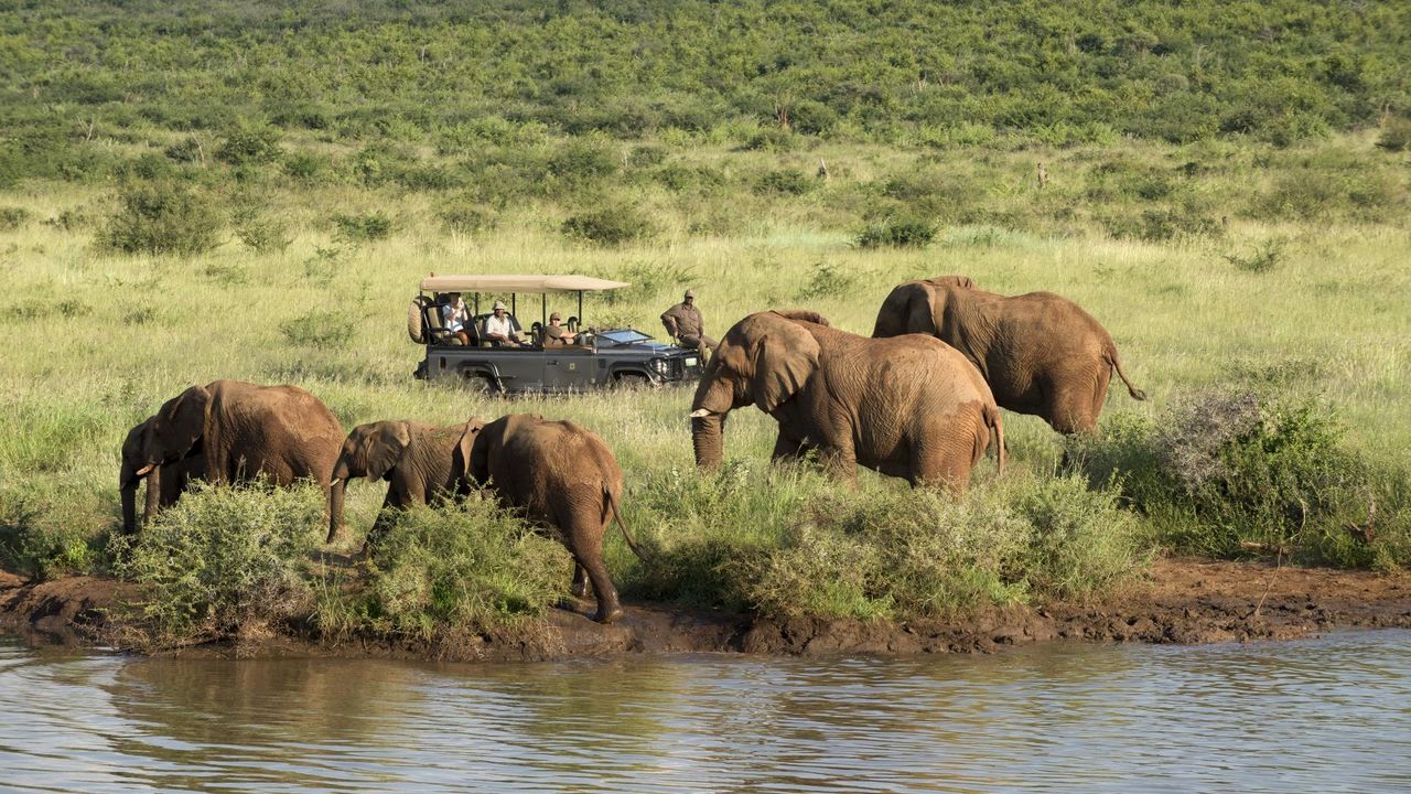 Madikwe - Natuur Reservaat - Zuid-Afrika - Matoke Tours