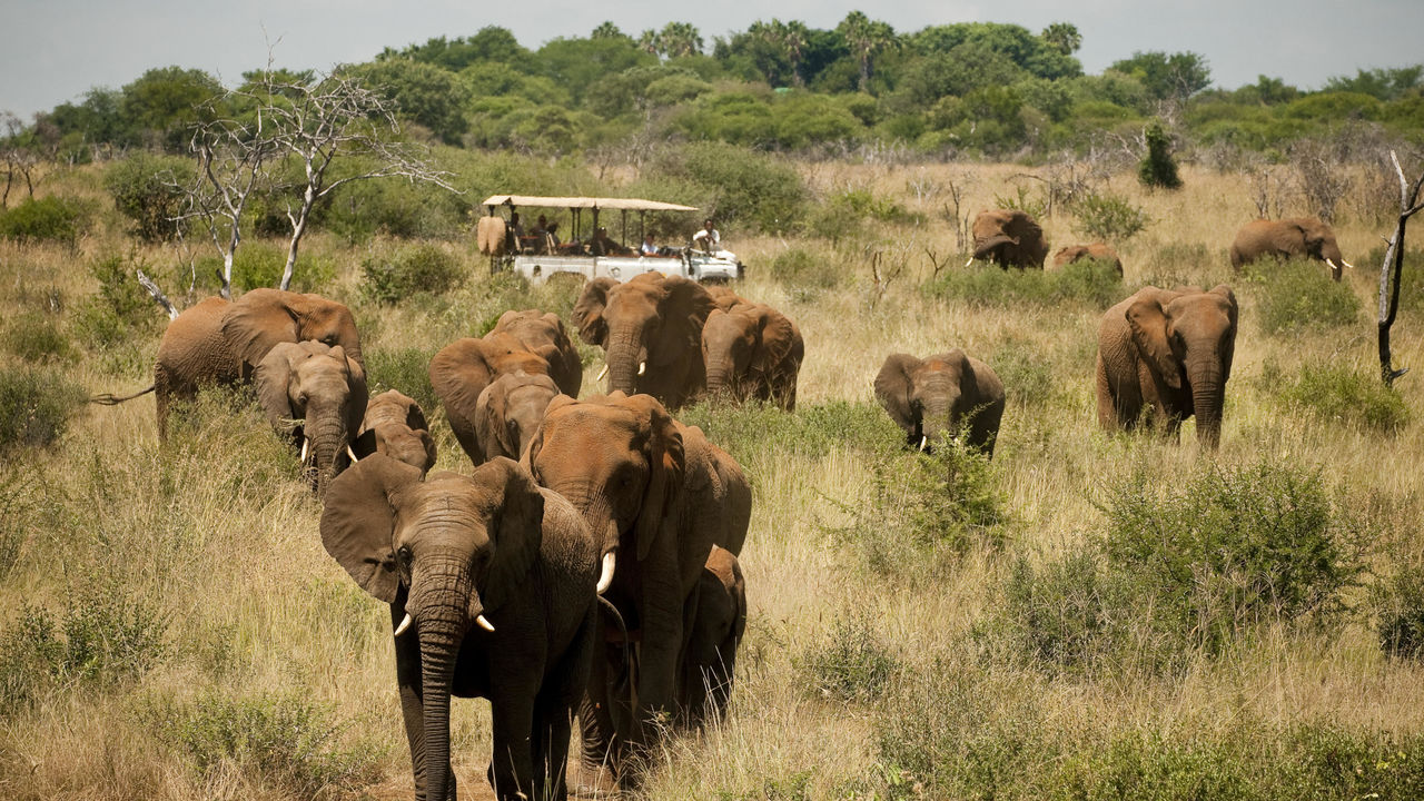 Madikwe - Natuur Reservaat - Zuid-Afrika - Matoke Tours