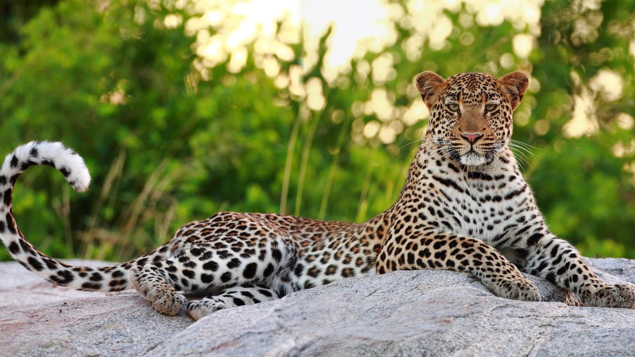 Rondreis Zuid-Afrika met strandvakantie op Zanzibar