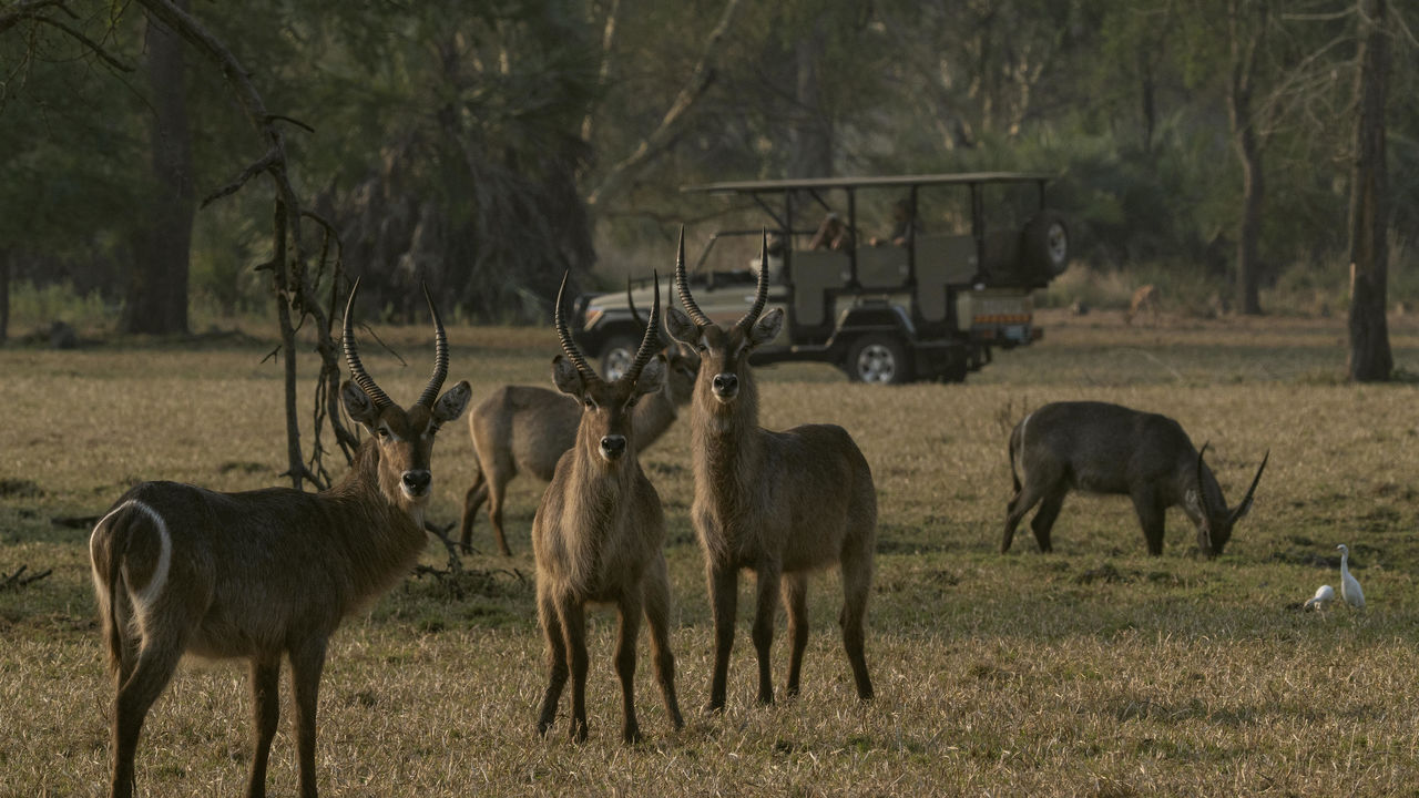 Vervoer Mozambique| Matoke Tours | Transfers en vluchten